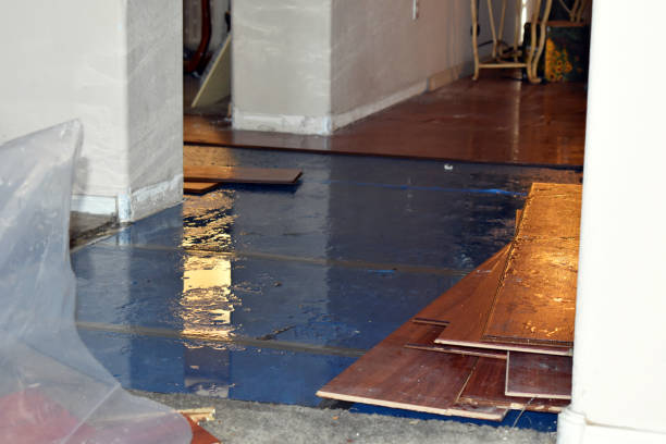 Professional Burst Pipe Cleanup technician working in Poolville, TX